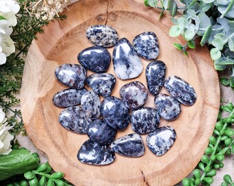Astrophyllite Pocket Stone | Palm Stone Hand Gemstone Crystal Rock Gift Her Him Polished Smooth Flat Disk Worry Stone Pocket Hug Spiritual
