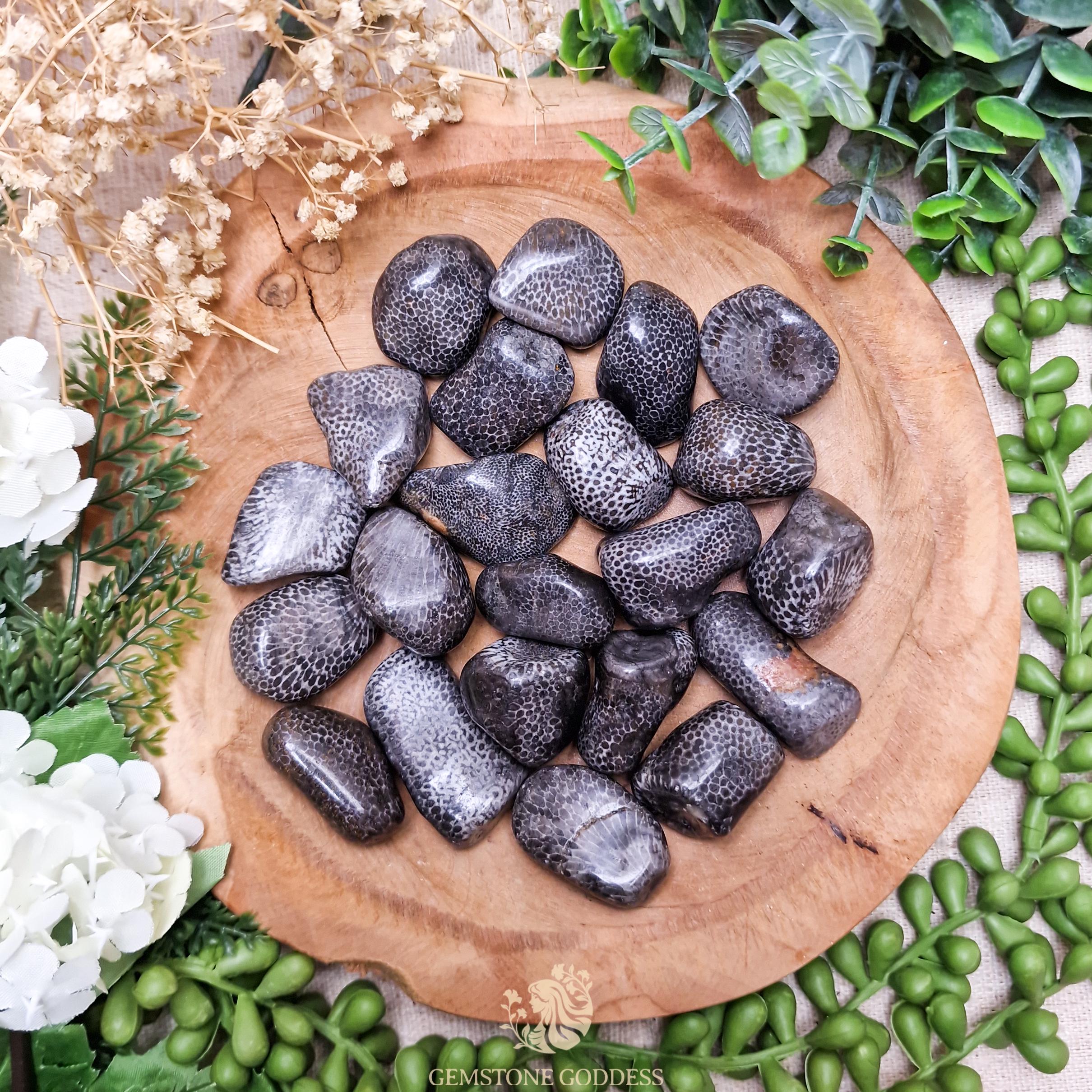 いこまる★PRECIOUS STONES PRINT BULOUSON Black Fossil Coral Tumbled Stone, Crystal Gemstone Polished