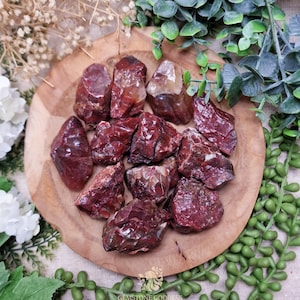 Könnte beinhalten: Eine Ansammlung roher, roter Jaspissteine, die auf einem runden Holztablett präsentiert werden. Die Jaspisstücke, in verschiedenen Größen und Formen, zeigen einen tiefroten Farbton mit helleren, durchscheinenden Bereichen. Die Anordnung ist von Grün und weißen Blüten umgeben.