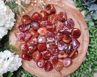 Snakeskin Agate Tumbled Stone, Crystal Gemstone Polished Natural High Quality Mineral Rock Resilience Personal Growth Balance Protection