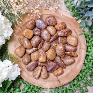 Calligraphy Stone Tumbled Stone, Crystal Gemstone Polished Natural High Quality Grade Mineral Rock Miriam Elephant Skin Snake Jasper Script