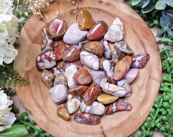 Fossil Jasper Tumbled Stone, Crystal Gemstone Polished Natural High Quality Grade Mineral Rock India Root Earth Star Chakra Taurus Capricorn