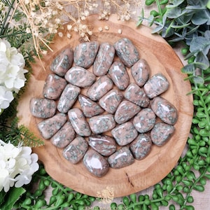 Nunderite Tumbled Stone, Crystal Gemstone Polished Natural High Quality Grade Mineral Rock Andalusite Epidote Harmony Grounded Renewal Root