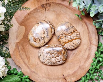 Picture Jasper Palm Stone | Hand Stone Big Large Tumbled Gemstone Crystal Rock Gift for Her Him | Grounding Strength Wisdom Manifestation