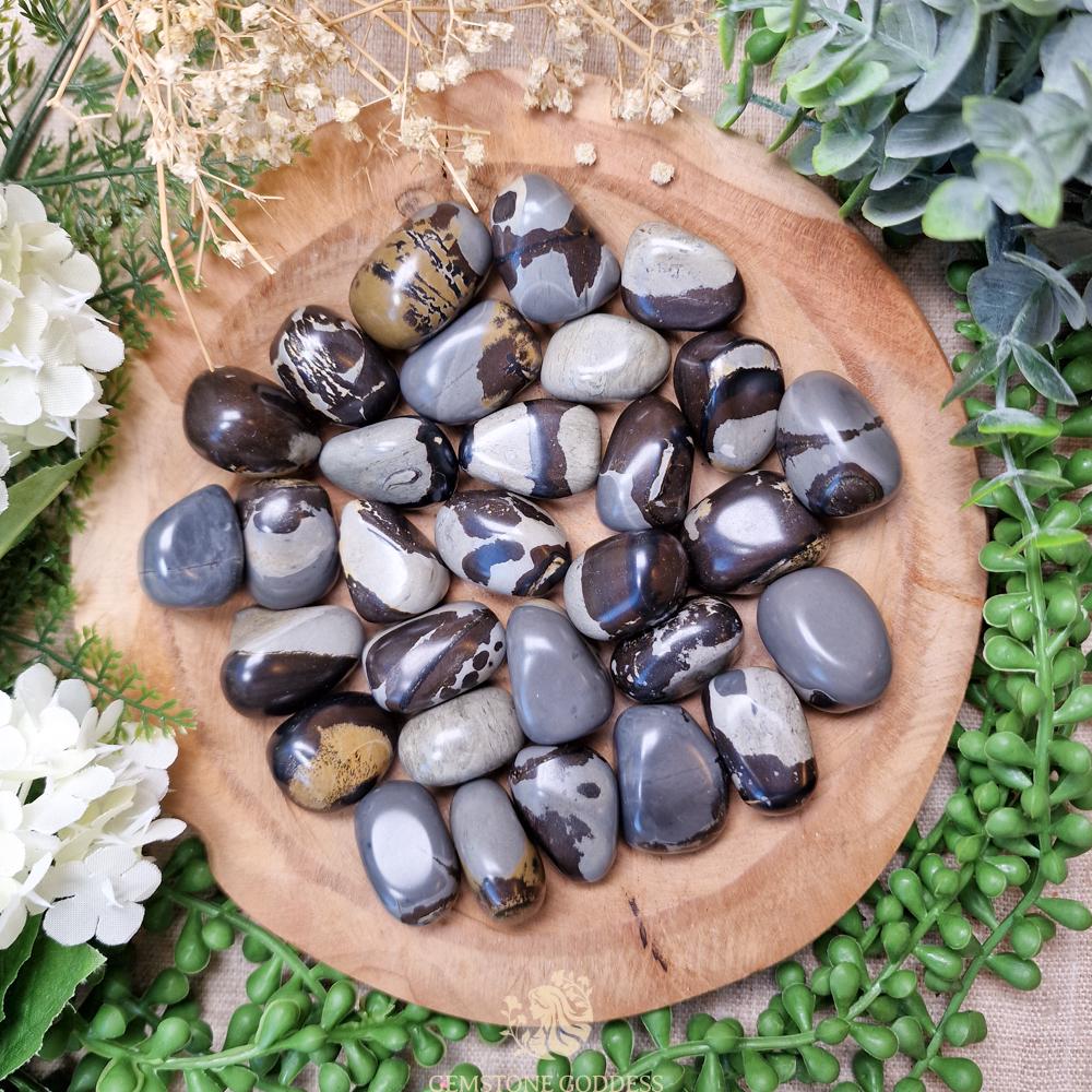 Grey Dendritic Jasper Tumbled Stone, Crystal Gemstone Polished
