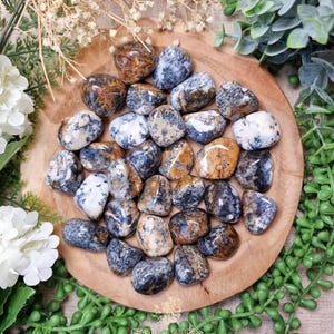 Merlinite Tumbled Stone, Crystal Gemstone Polished Natural High Quality Grade Mineral Rock Dendritic Chalcedony Wisdom Balance Spiritual