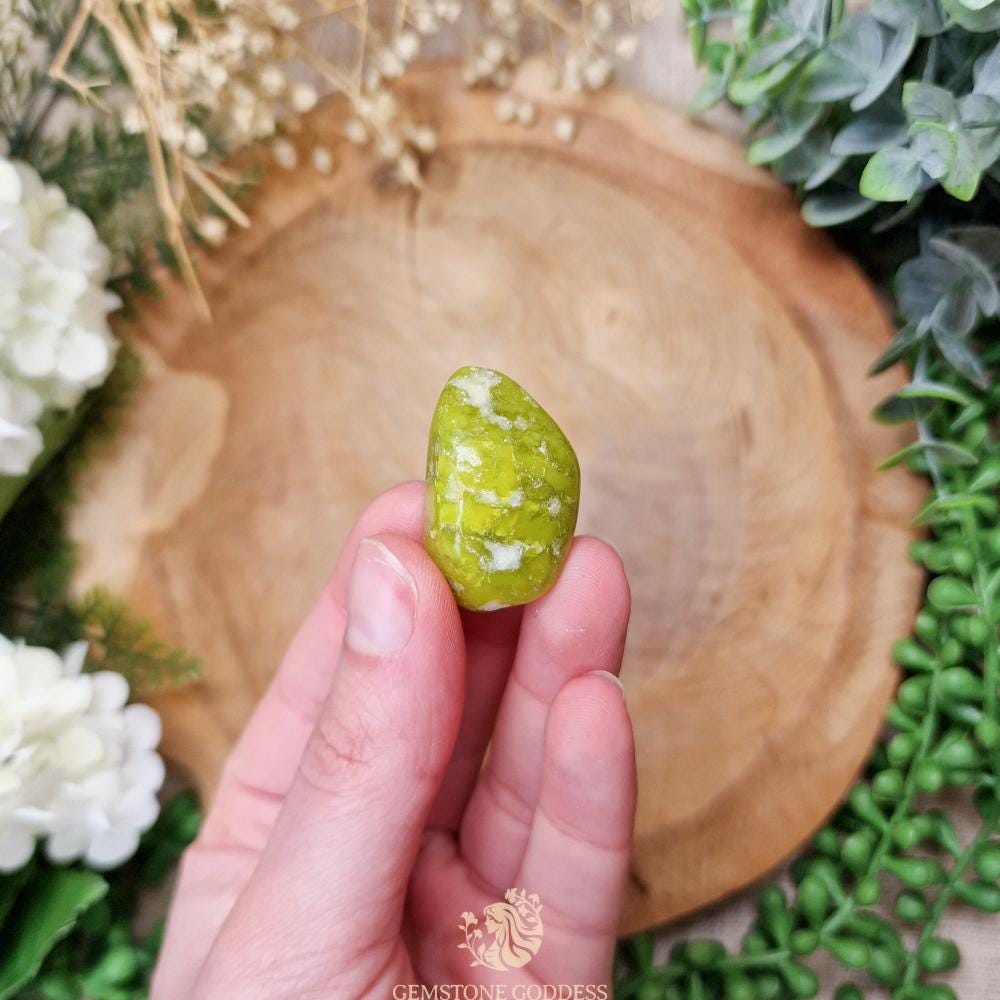 Lizardite Tumbled Stone, Crystal Gemstone Polished Natural High