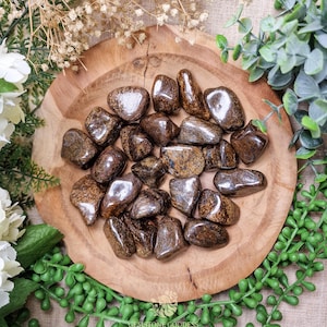 Bronzite Tumbled Stone, Crystal Gemstone Polished Natural High Quality Grade Mineral Rock Brazil