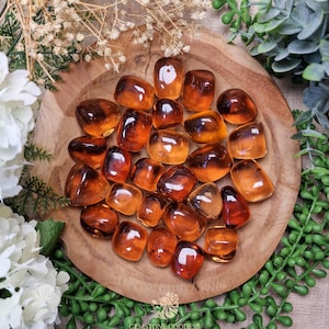 Puede incluir: Una colección de piedras de ámbar pulidas en varios tonos de naranja y marrón, expuestas sobre una superficie de madera.