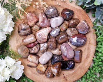 May include: A selection of polished petrified wood stones in shades of brown, red, and cream, presented on a wooden plate. The stones vary in size and shape, with smooth, glossy surfaces. The arrangement is surrounded by greenery and white flowers.