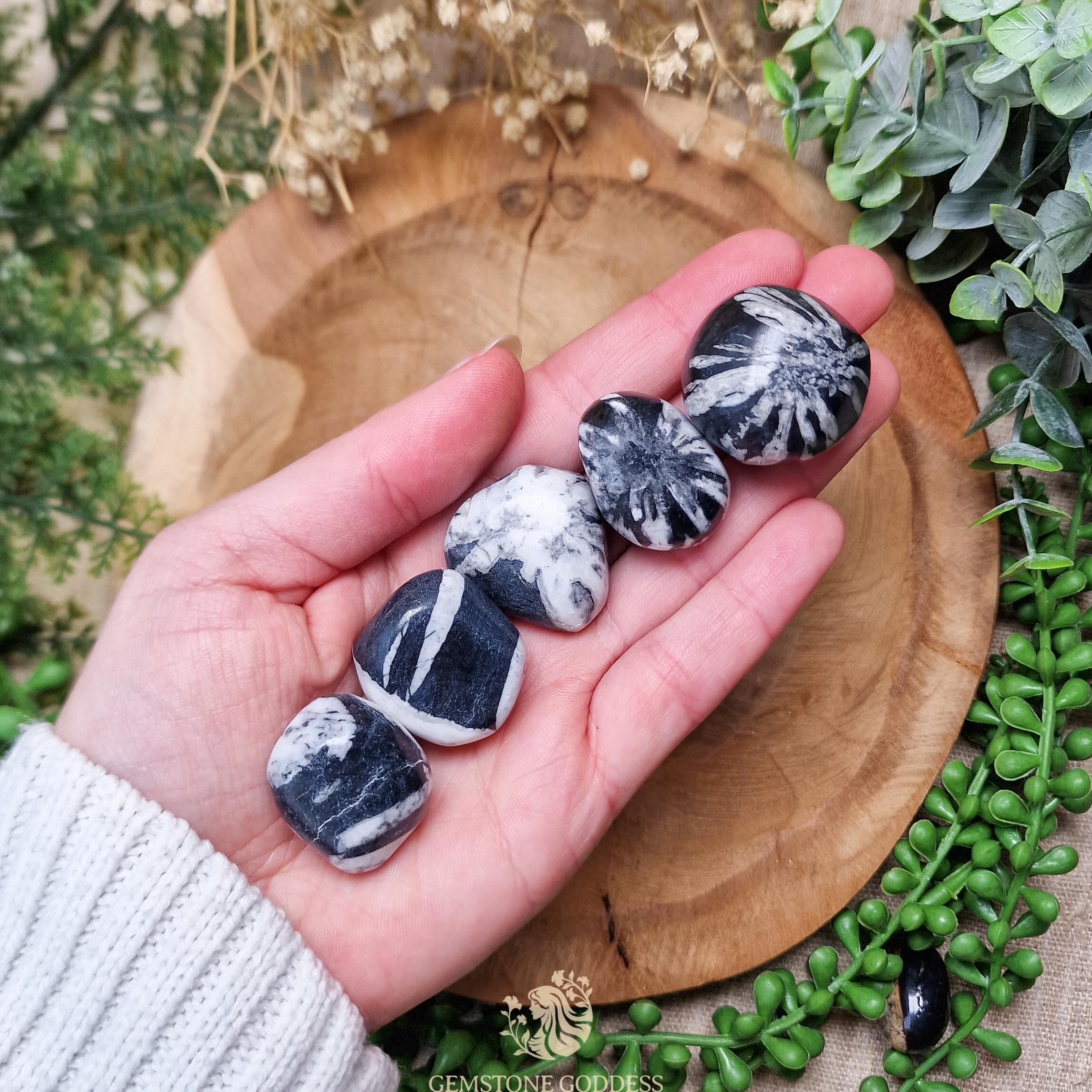 Chrysanthemum Tumbled Stone, Crystal Gemstone Polished Natural