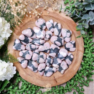 Porphyry Tumbled Stone, Crystal Gemstone Polished Natural High Quality Grade Mineral Rock Marshmellow Stone Porphyrite Australia Porphyritic