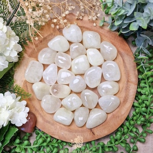 Puede incluir: Una colección de piedras preciosas pulidas, de color blanquecino, dispuestas sobre un plato redondo de madera. Las piedras varían en tamaño y forma, con un aspecto liso y redondeado. El plato está rodeado de vegetación y flores blancas.