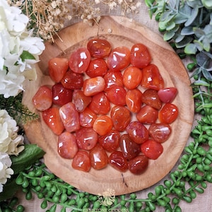 Carnelian Tumbled Stone, Crystal Gemstone Polished Natural High Quality Grade Mineral Rock India Aries Leo Virgo Zodiac Sacral Root Chakra