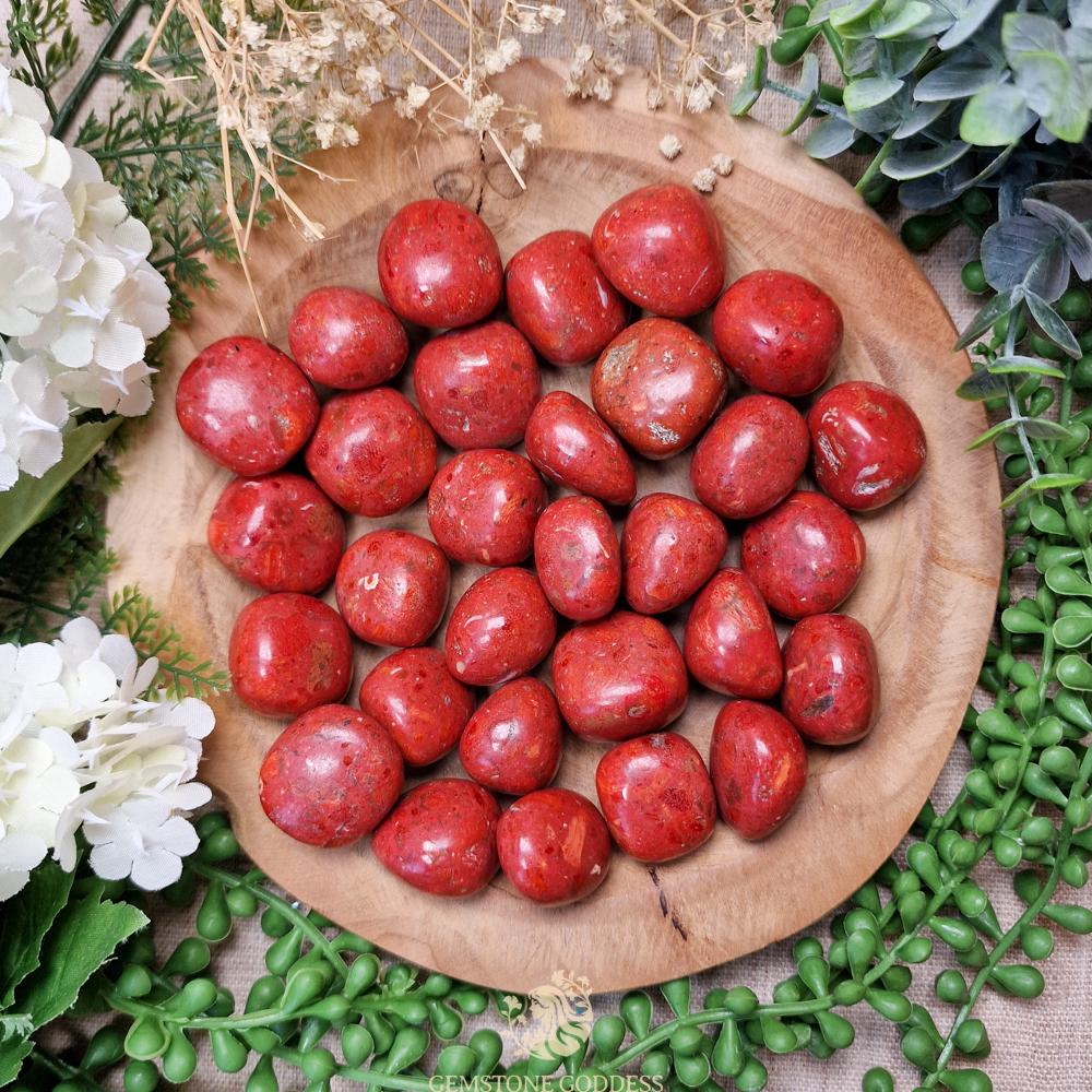 タンブル加工された赤珊瑚 - Etsy 日本