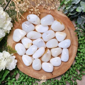 Op de afbeelding: Een verzameling gladde, witte edelstenen met subtiele tinten beige en crème, gerangschikt op een ronde houten schaal. De stenen variëren in grootte en vorm en worden omringd door groen en witte bloemen. De afbeelding is goed belicht.