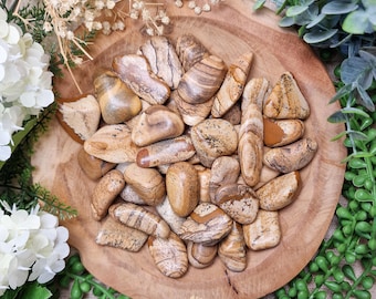 Kalahari Picture Jasper Tumbled Stone Crystal Gemstone Polished Natural High Grade Mineral Rock Stillness Grounding Embodiment Nature Wisdom