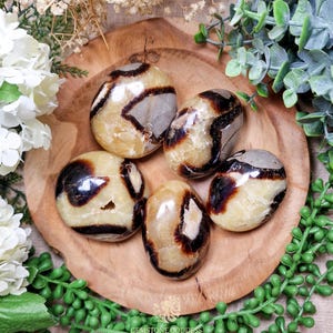 Septarian Palm Stone Hand Stone | Big Tumbled Large Gemstone Crystal Rock Gift Her Him | Inner Power Stability Confidence Grounding Healing