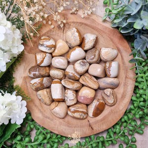 Picture Jasper Tumbled Stone, Crystal Gemstone Polished Natural High Quality Mineral Rock Desert South Africa Strength Wisdom Manifestation