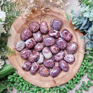 May include: A collection of tumbled red and white jasper stones. The stones are smooth and polished, with a variety of patterns and colors.