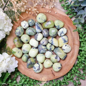 Pyrite in Serpentine Tumbled Stone, Crystal Gemstone Polished Natural High Quality Grade Mineral Rock Energy Shield Cellular Balance Healer