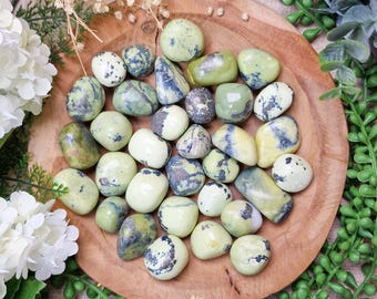 Pyrite in Serpentine Tumbled Stone, Crystal Gemstone Polished Natural High Quality Grade Mineral Rock Energy Shield Cellular Balance Healer