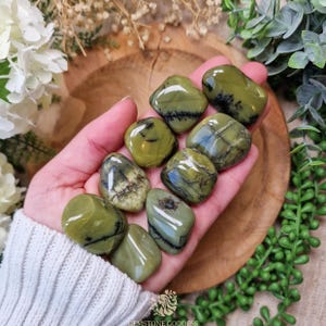 Green Dendritic Opal Tumbled Stone, Crystal Gemstone Polished Natural High Quality Grade Mineral Rock Dendrite Madagascar Heart Third Eye