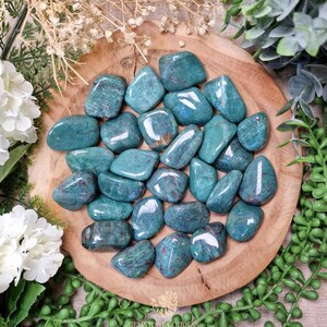 Könnte beinhalten: Eine Sammlung polierter, teal-farbener Edelsteine, die auf einem Holzbrett angeordnet sind. Die Steine haben eine glatte, reflektierende Oberfläche und variieren in Größe und Form. Die Anordnung ist von Grün und weißen Blumen umgeben.