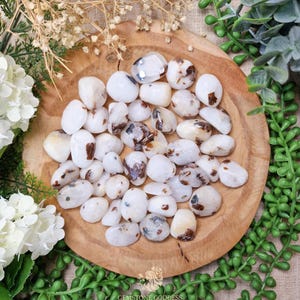 Peut inclure: Une collection de pierres précieuses polies blanches et marron, peut-être de la pierre de lune, disposées sur une assiette en bois ronde. Les pierres varient en taille et en forme, certaines présentant des inclusions marron. L'arrangement est entouré de fleurs blanches et de feuillage vert.