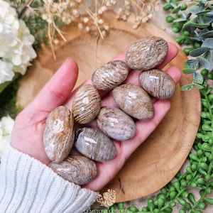 May include: A collection of polished, oval-shaped stones with a mix of tan, brown, and cream colors. The stones have a striped pattern and are held in a hand. The background includes greenery and a wooden surface.