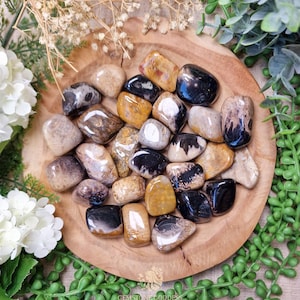 Petrified Palm Root Tumbled Stone, Crystal Gemstone Polished Natural High Quality Grade Mineral Rock Petrified Wood Fossil Time Life Force