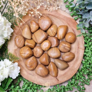 Tiger Skin Jasper Tumbled Stone, Crystal Gemstone Polished Natural High Quality Grade Mineral Rock Ancestral Wisdom Earth Connection Soul