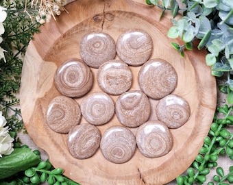 Eichenberg Aragonite Pocket Stone | Palm Stone Hand Gemstone Crystal Rock Gift Her Him Polished Smooth Stone Flat Disk Worry Stone Spiritual