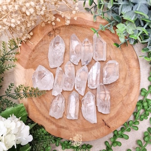 Può includere: Una collezione di punte di cristallo di quarzo trasparente disposte su una superficie di legno rotonda. I cristalli variano per dimensioni e forma, con formazioni naturali e strutture interne visibili. Foglie verdi e fiori bianchi circondano i cristalli.