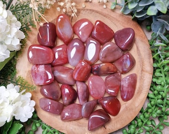 May include: A collection of polished red jasper stones displayed on a wooden plate, surrounded by greenery and white flowers. The stones vary in shape and shade, with a mix of solid and patterned surfaces. The image is well-lit, highlighting the natural beauty of the gemstones.