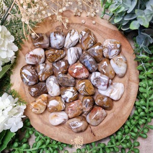 Goethite in Quartz Tumbled Stone, Crystal Gemstone Polished Natural High Quality Grade Mineral Rock Emotional Resilience Spiritual Grounding