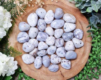 May include: A collection of tumbled blue and white gemstones with speckled patterns. The stones are arranged on a wooden plate, surrounded by greenery and white flowers. The gemstones vary in size and shape.