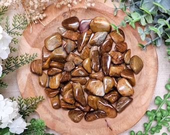 Sillimanite Tumbled Stone, Crystal Gemstone Polished Natural High Quality Grade Mineral Rock Strength Insight Discipline Grounding Capricorn