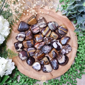Nguni Jasper Tumbled Stone, Crystal Gemstone Polished Natural High Quality Grade Mineral Rock Afric Cow Tribal Strength Ancestral Connection