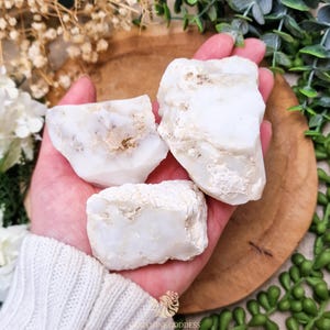 Puede incluir: Tres piedras de ópalo blanco en bruto con inclusiones beige y marrón se sostienen en una mano. Las piedras tienen una superficie rugosa y texturizada. El fondo incluye una superficie de madera, vegetación y flores blancas.