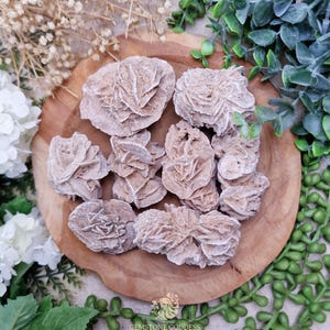 Könnte beinhalten: Eine Sammlung von Wüstenrosen-Selenitkristallen auf einem Holzbrett. Die Kristalle haben eine schichtartige, rosenähnliche Form und eine hellbraune Farbe. Das Brett ist von Grün und weißen Blumen umgeben.