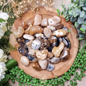 May include: A bowl of tumbled agate stones in various shades of brown, white, and cream. The stones are smooth and polished, with some showing natural banding and inclusions.