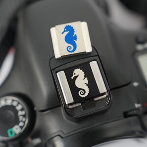 Unique Pattern Hot Shoe Cover And Shutter Button SET, Hot Shoe Protector for Camera, Unique Design Camera Accessory, Gift for Camera Owner