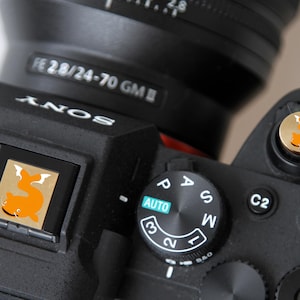 Puede incluir: Primer plano de una cámara Sony negra con una lente. La cámara tiene un botón dorado y una pequeña pantalla, cada uno con un pez naranja de dibujos animados. La lente está etiquetada como "FE 28/24-70 GM". El dial de modo está en "AUTO".