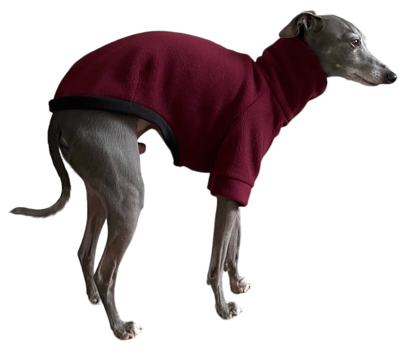 Sewing Pattern for Italian Greyhound Jumper / Fleece / Top / Tshirt / Clothes / Clothing image 5