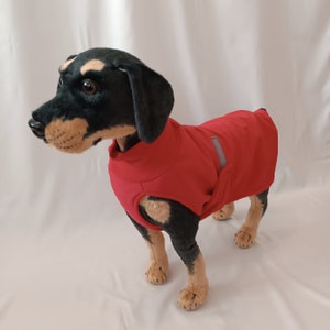 Roter Hundemantel aus Softshell, Regenmantel für Hunde, unifarbenen,Hundekleidung wasserabweisend, 12 Größen, Wintermantel kleinegroße Hund Bild 2