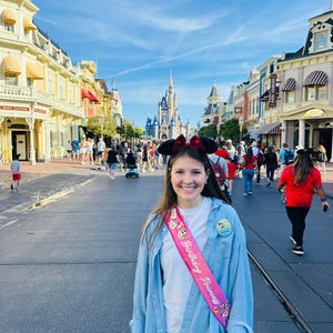 カスタマイズ可能なベルベットのディズニープリンセスサッシュ、誕生日旅行アクセサリー