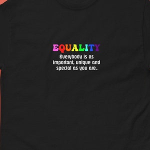 平等プライド LGBTQIA+ メンズ クラシック T シャツ