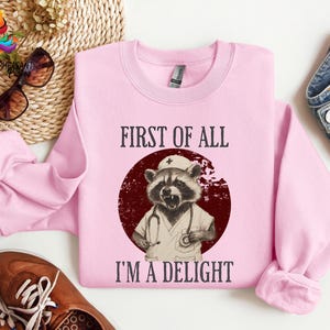 May include: Pink sweatshirt with a graphic of a raccoon wearing a nurse's uniform and a stethoscope. The text "First of all I'm a delight" is printed on the sweatshirt.