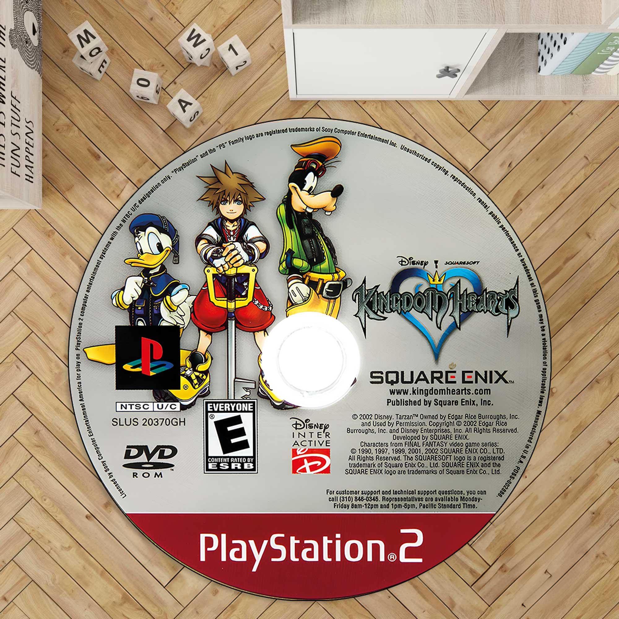 Kingdom Hearts Stained Glass Rug, Kingdom Hearts II, Xion Stained